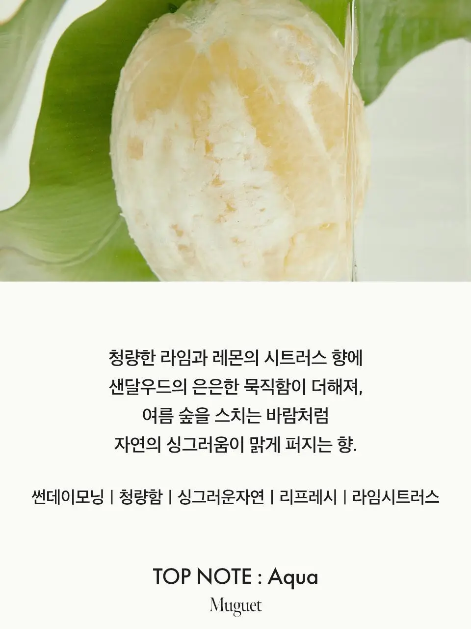 [Gift] 아닐로 오 드 퍼퓸 50ml 8종 택1 상세페이지 23
